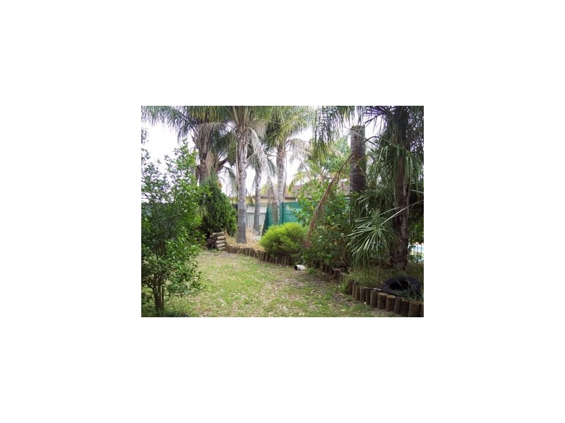 5 Flaveria Place, Pinjarra WA 6208