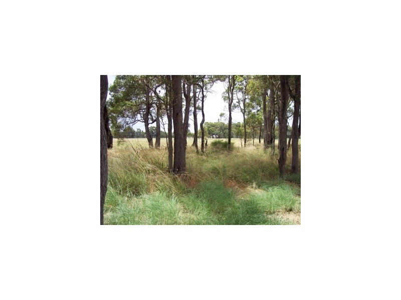 35 Murray Street, Coolup WA 6214