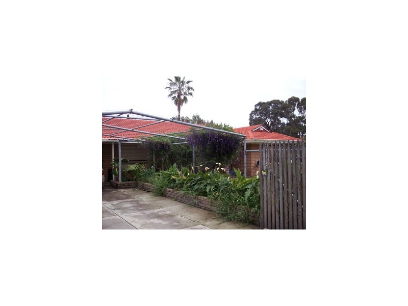 8 Leschenaultia Place, Pinjarra WA 6208