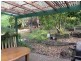 Hazelbrook NSW 2779