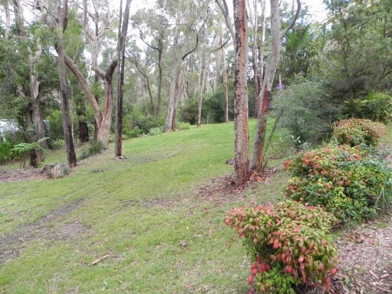 Hazelbrook NSW 2779