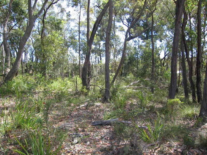Lawson NSW 2783