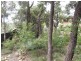 Hazelbrook NSW 2779