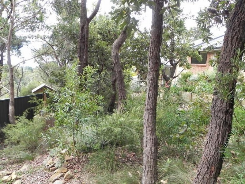 Hazelbrook NSW 2779