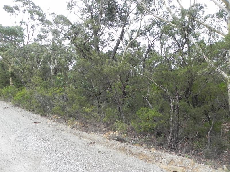 Wentworth Falls NSW 2782