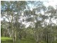 Hazelbrook NSW 2779