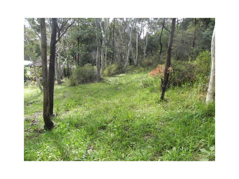 Hazelbrook NSW 2779