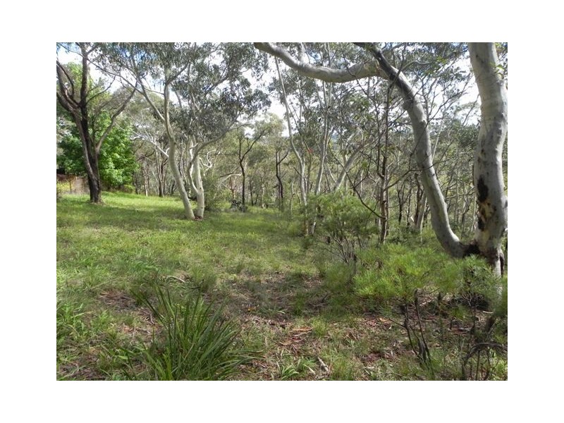 Hazelbrook NSW 2779
