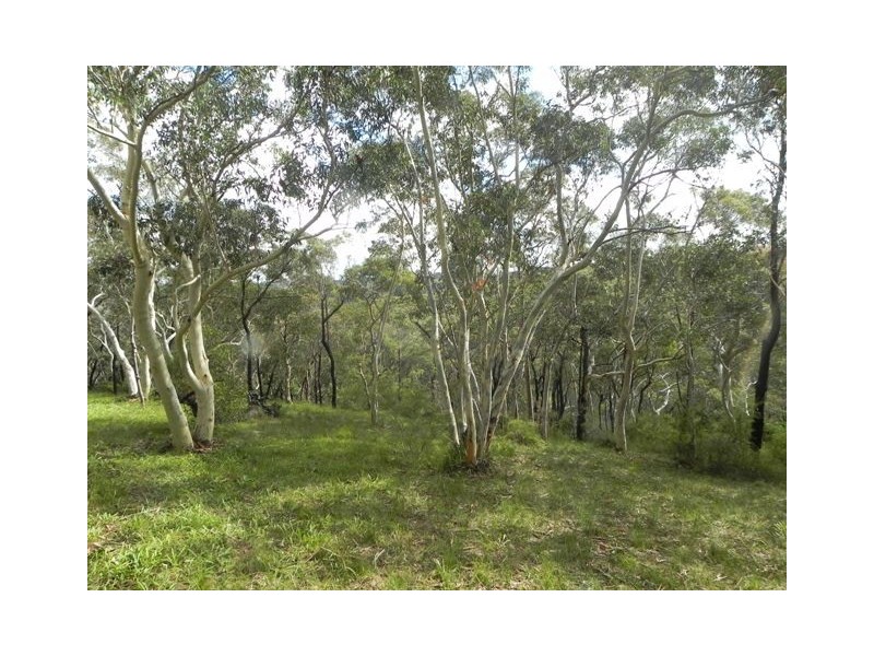 Hazelbrook NSW 2779