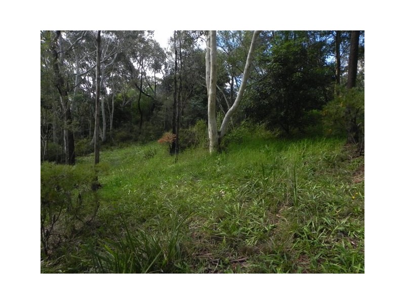 Hazelbrook NSW 2779