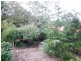 Hazelbrook NSW 2779