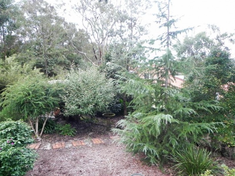 Hazelbrook NSW 2779