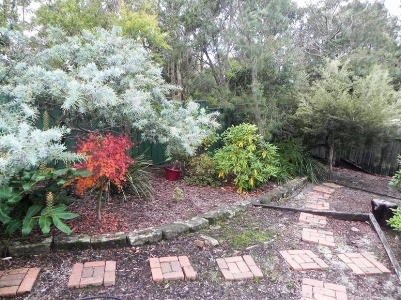 Hazelbrook NSW 2779