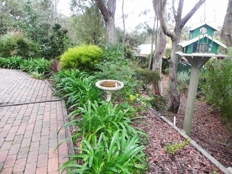 Hazelbrook NSW 2779