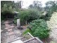 Hazelbrook NSW 2779