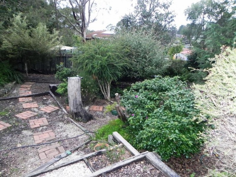 Hazelbrook NSW 2779