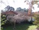Hazelbrook NSW 2779