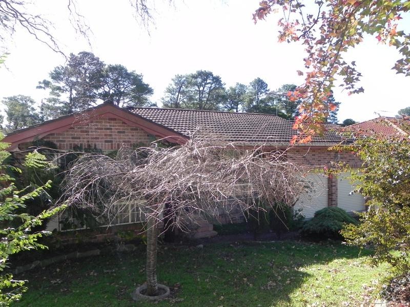 Hazelbrook NSW 2779
