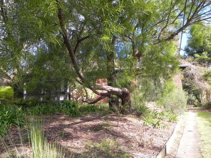 Wentworth Falls NSW 2782