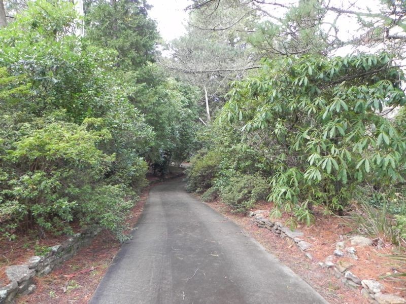 Wentworth Falls NSW 2782