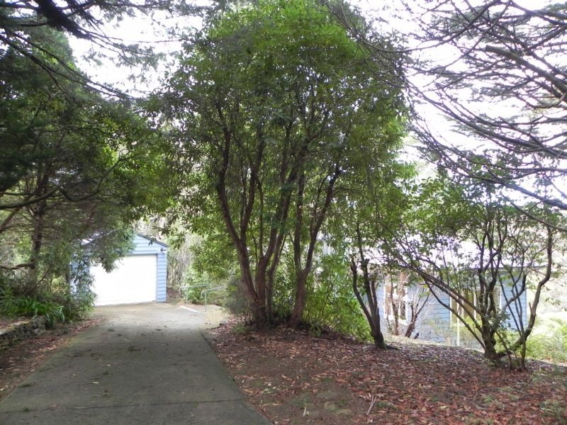 Wentworth Falls NSW 2782