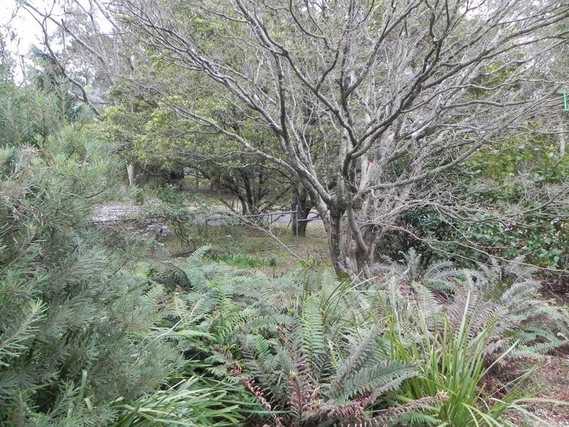 Lawson NSW 2783