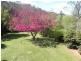 Lawson NSW 2783