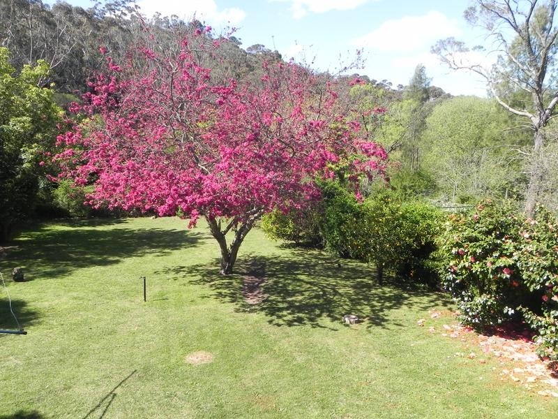 Lawson NSW 2783