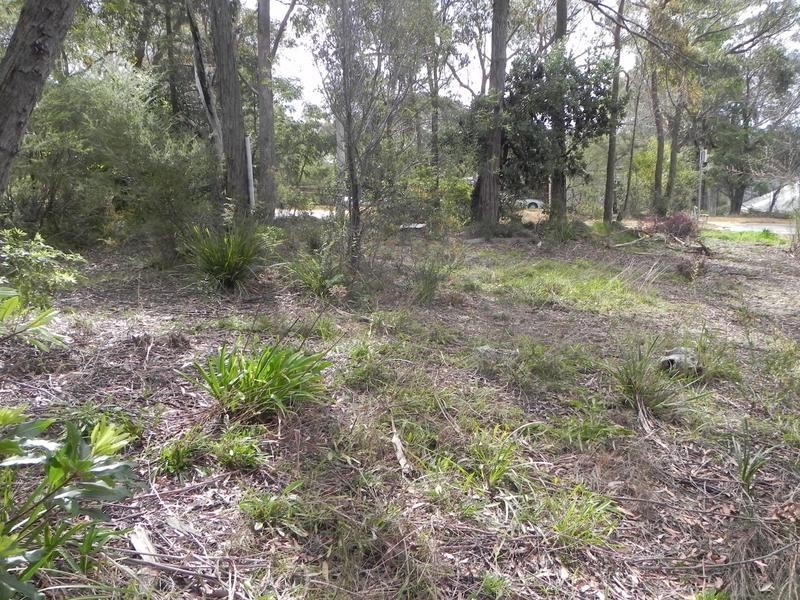 Lawson NSW 2783