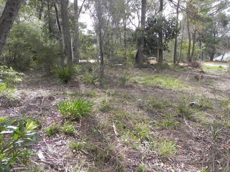 Lawson NSW 2783