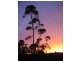 Bullaburra NSW 2784