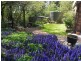 Hazelbrook NSW 2779