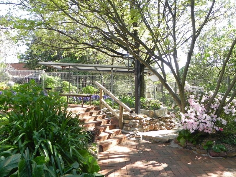 Hazelbrook NSW 2779