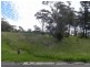 Hazelbrook NSW 2779