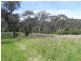 Hazelbrook NSW 2779