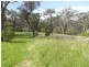 Hazelbrook NSW 2779