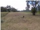 Hazelbrook NSW 2779