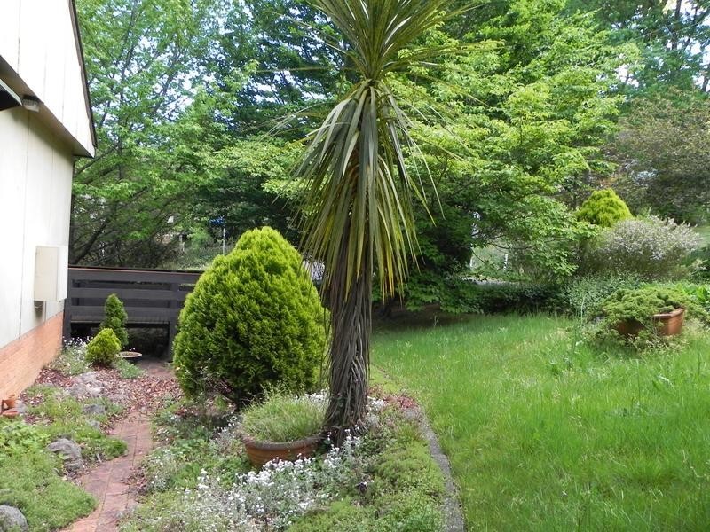 Wentworth Falls NSW 2782