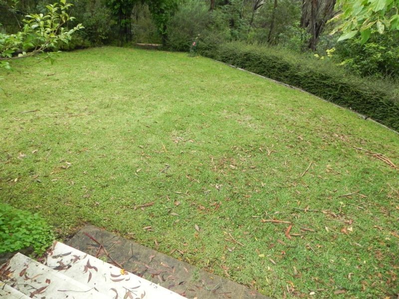 Wentworth Falls NSW 2782