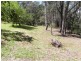 Lawson NSW 2783