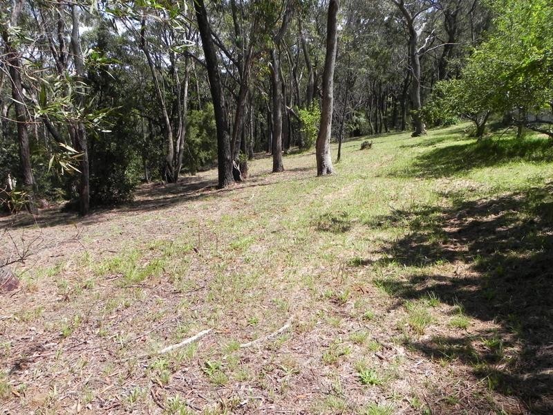 Lawson NSW 2783