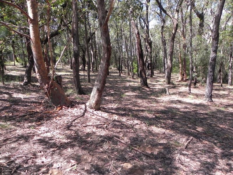 Lawson NSW 2783