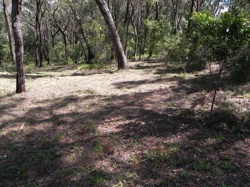 Lawson NSW 2783