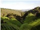 Wentworth Falls NSW 2782