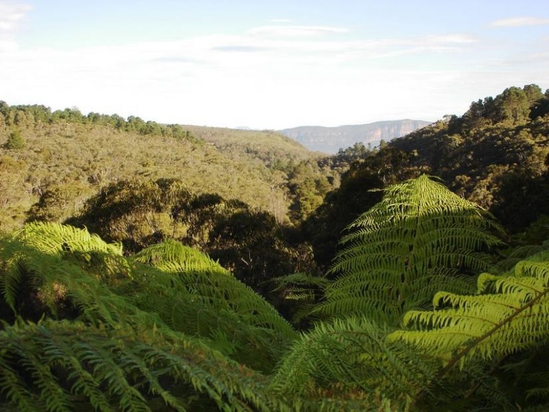 Wentworth Falls NSW 2782