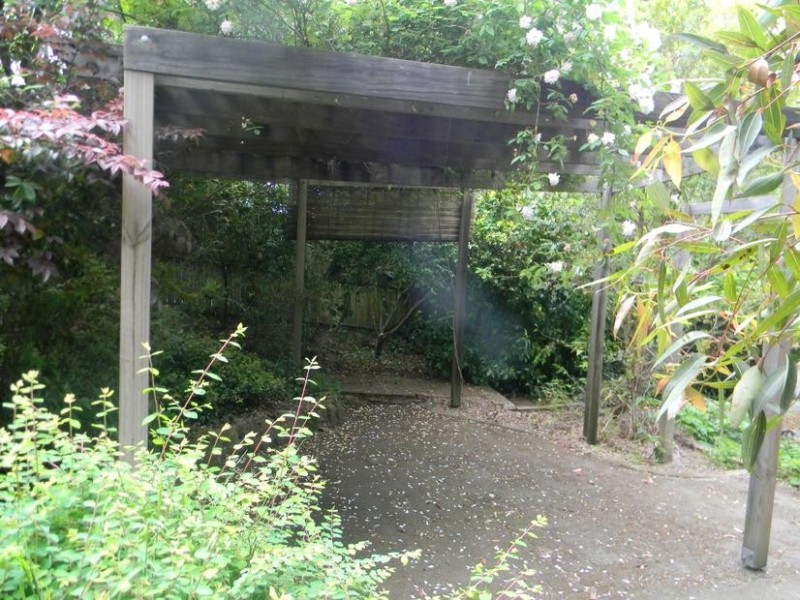 Lawson NSW 2783