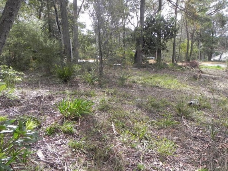 Lawson NSW 2783