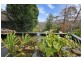Hazelbrook NSW 2779