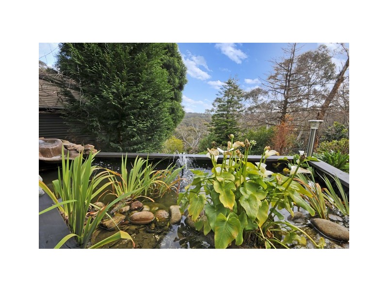 Hazelbrook NSW 2779