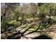 Hazelbrook NSW 2779